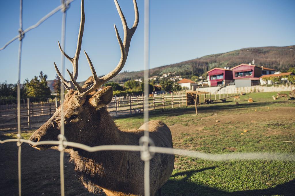 Quintas Farm Houses Αρούκα Εξωτερικό φωτογραφία